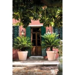 Deroma Pflanztopf Magno Ø 60 Cm White -Haushaltswaren Geschäft 726232524137 3832 4