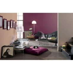 Alpina Farbrezepte Sandelholz Matt 2,5 L -Haushaltswaren Geschäft 812027 picture 2