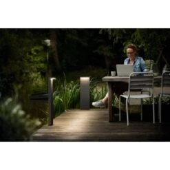 Philips MyGarden LED-Wegeleuchte Bustan Anthrazit 77 Cm 8 Philips MyGarden LED-Wegeleuchte Bustan Anthrazit 77 Cm -Haushaltswaren Geschäft 8718696158906 4795 AB 5